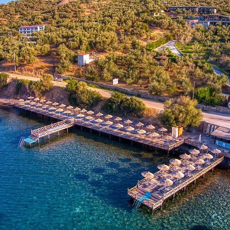 Assos Dionysos Special Class Hotel Adults Only 12 Years Extérieur photo