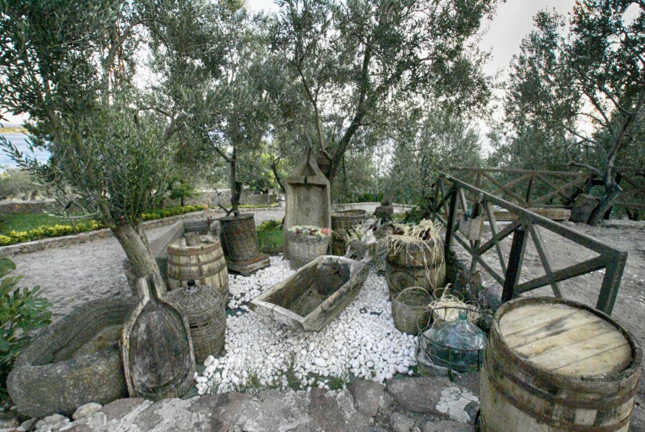 Assos Dionysos Special Class Hotel Adults Only 12 Years Extérieur photo