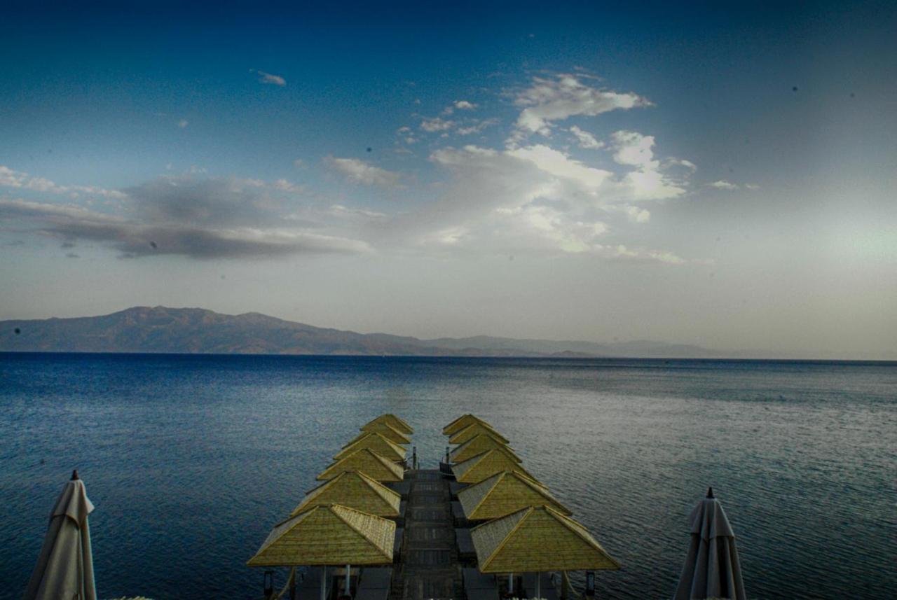 Assos Dionysos Special Class Hotel Adults Only 12 Years Extérieur photo