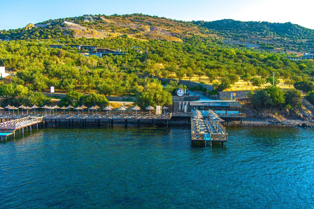 Assos Dionysos Special Class Hotel Adults Only 12 Years Extérieur photo