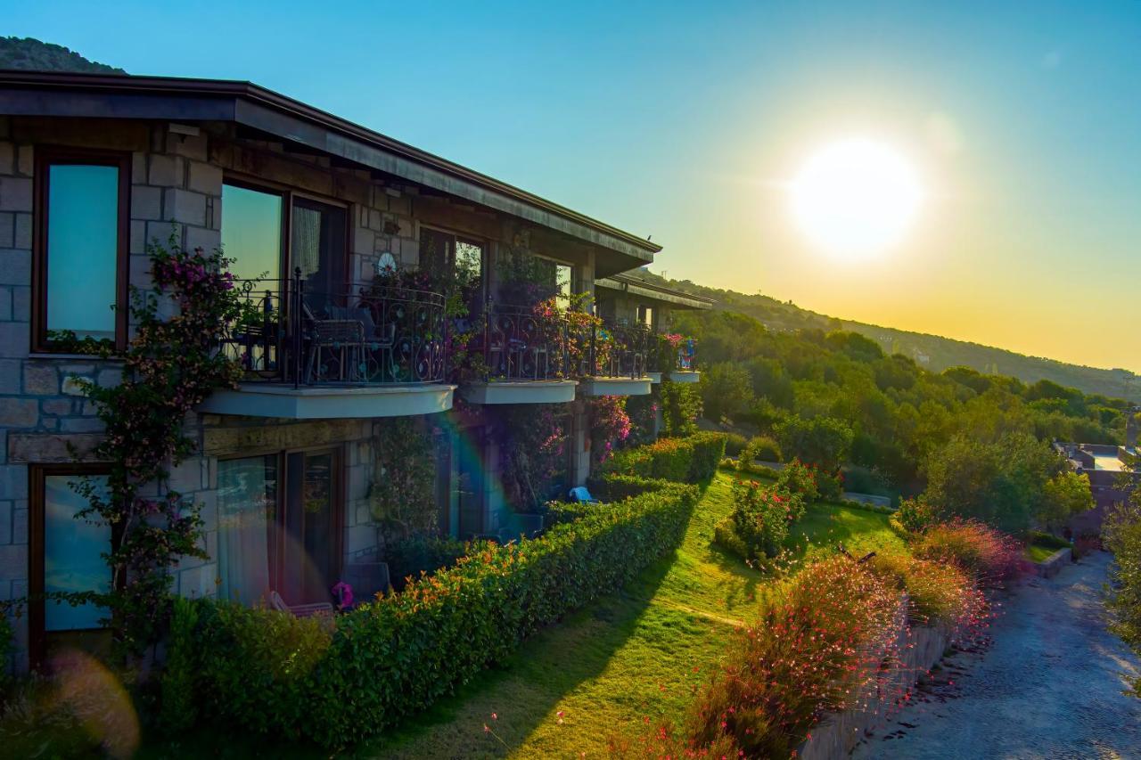 Assos Dionysos Special Class Hotel Adults Only 12 Years Extérieur photo