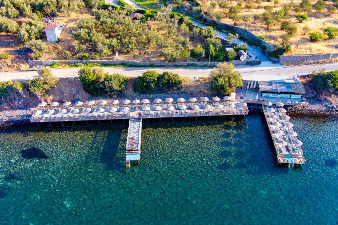 Assos Dionysos Special Class Hotel Adults Only 12 Years Extérieur photo